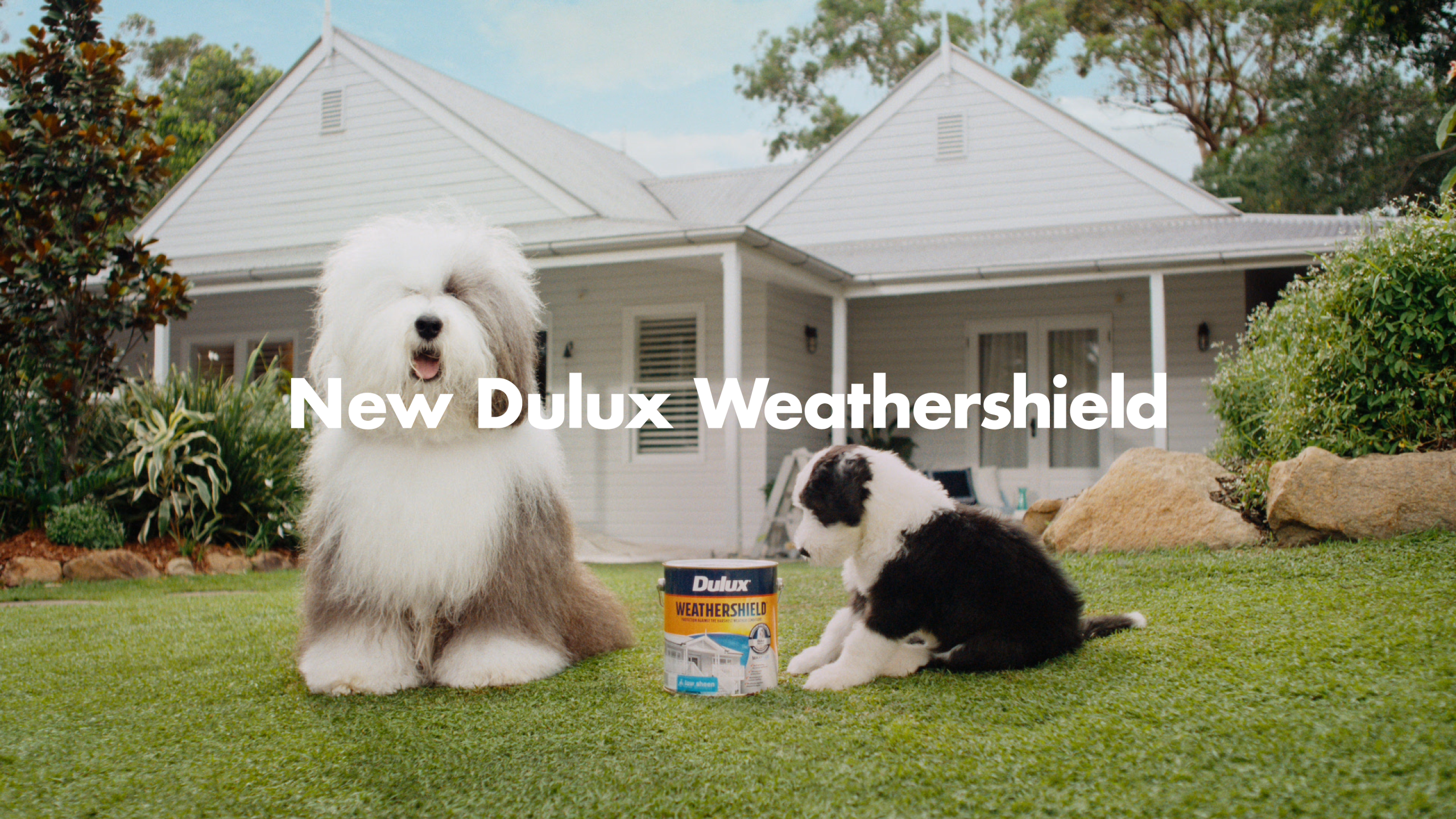 Next Generation of Dulux Weathershield